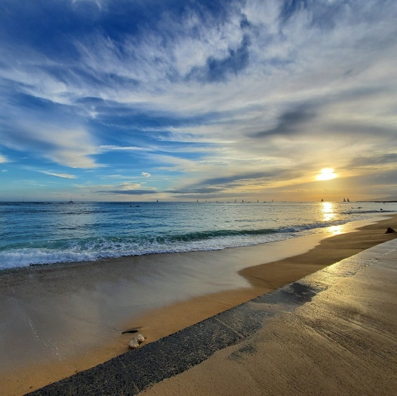 Meet your Posher, Aimee - Picture 1 of 12